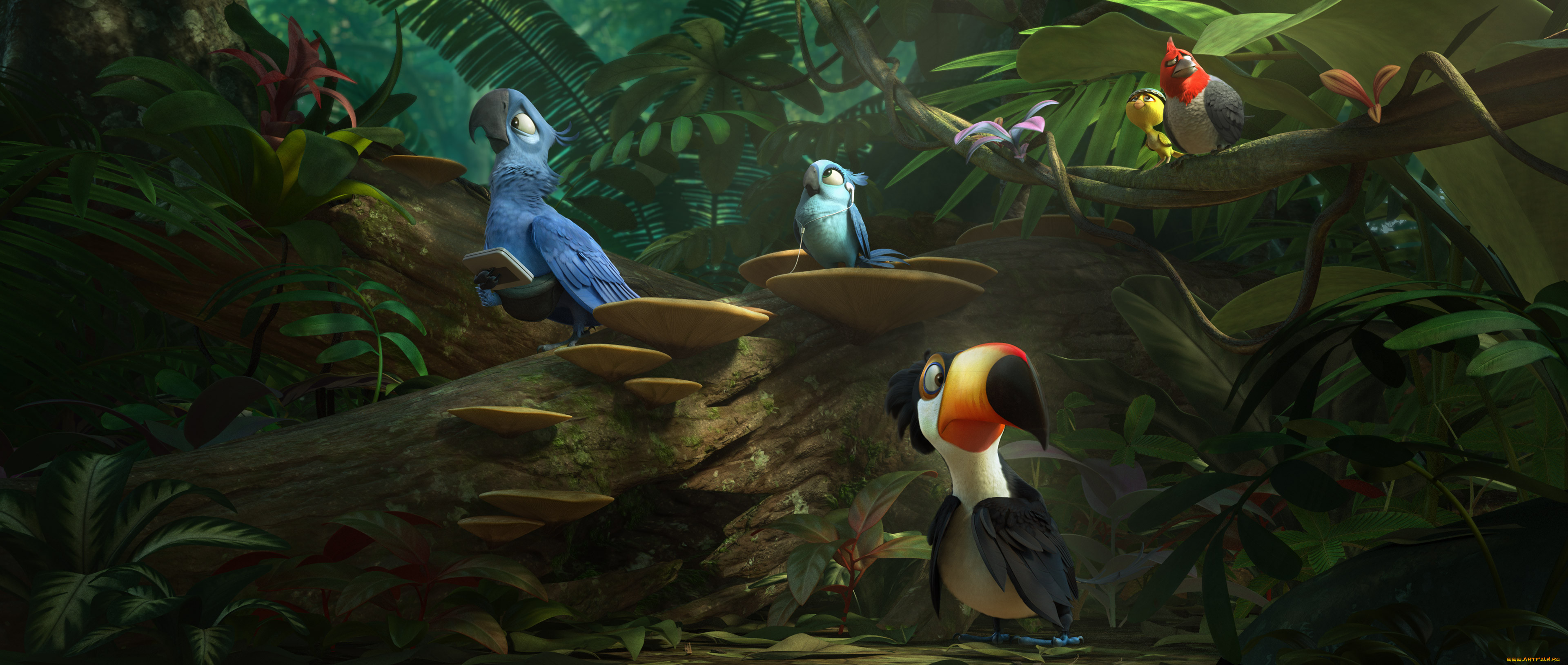 , rio 2, 